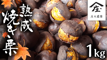 庄七農園 限定 熟成 焼き栗 1kg 【 10月から順次お届け 】 栗 くり 焼栗 おやつ スイーツ 茨城 和栗 美味しい 果物 フルーツ