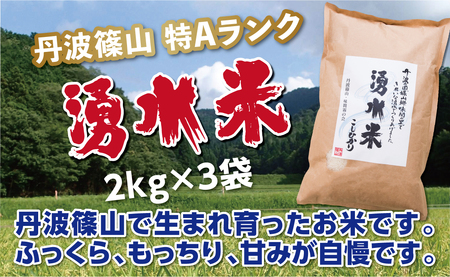 特A〈スピード出荷〉コシヒカリ 湧水米 2kg×3袋 計6kg こしひかり ［Y101-2602］