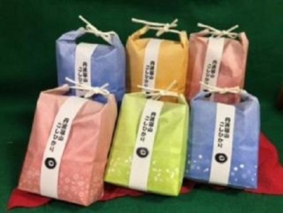 【令和7年産】丹波篠山コシヒカリ 白米３合入×６袋　AZ12