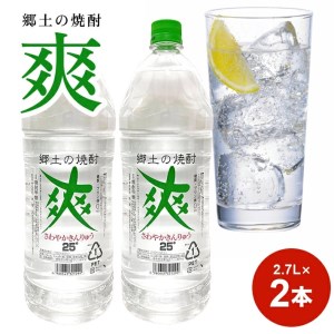 SB0291　金龍 爽25度　2.7L×2本