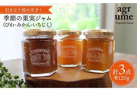 ※数量限定※【季節の果実をぎゅっと】長与町産 ジャム3種（ びわ みかん いちじく） 各120g＜アグリューム＞ [EAI005]  瓶 セット ジャム じゃむ 季節