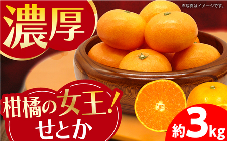 せとか 約3kg [EAS002]