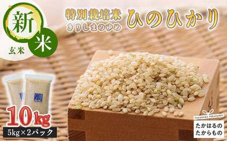 「令和6年産」【新米】  霧島湧水が育む「きりしまのゆめ」ヒノヒカリ玄米10kg 減農薬栽培のお米 TF0305-P00026