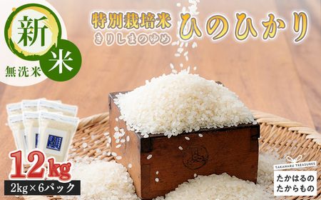 「令和6年産」【新米】 霧島湧水が育む「きりしまのゆめ」ヒノヒカリ(無洗米)12kg 減農薬栽培のお米 TF0306-P00026