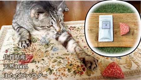 FB103_猫用☆天然100％無添加・ 無農薬またたびパウダー＆蹴りぐるみ1個