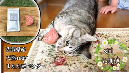 FB104_猫用☆天然100％無添加・ 無農薬またたびパウダー＆蹴りぐるみ1個【定期便3回】