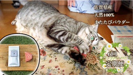 FB105_猫用☆天然100％ 無添加・無農薬またたびパウダー＆蹴りぐるみ1個【定期便6回】