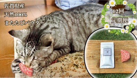 FB106_猫用☆天然100％ 無添加・無農薬またたびパウダー＆蹴りぐるみ1個【定期便12回】