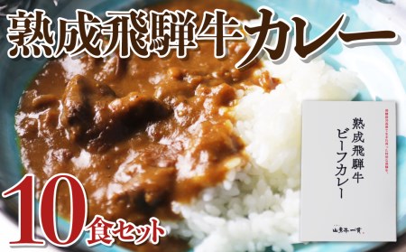 熟成飛騨牛カレー 10食セット カレー ［D0034ch］