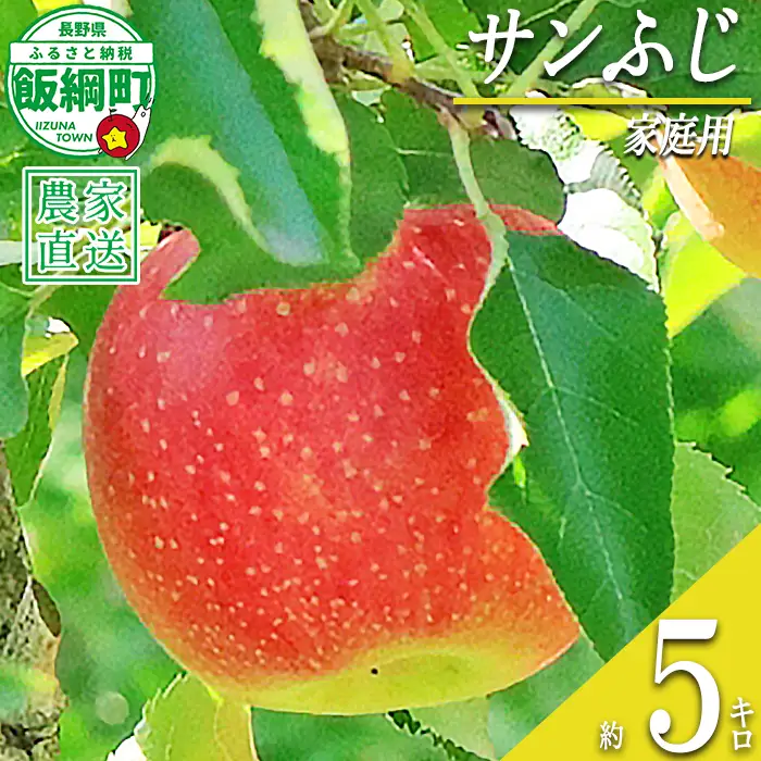 りんご サンふじ 家庭用 5kg 永正の地蔵尊神谷農園 沖縄県への配送不可 2026年12月中旬頃から2027年3月上旬頃まで順次発送予定 令和8年度収穫分 信州 果物 フルーツ リンゴ 林檎 長野 予約 農家直送 長野県 飯綱町 [0774]