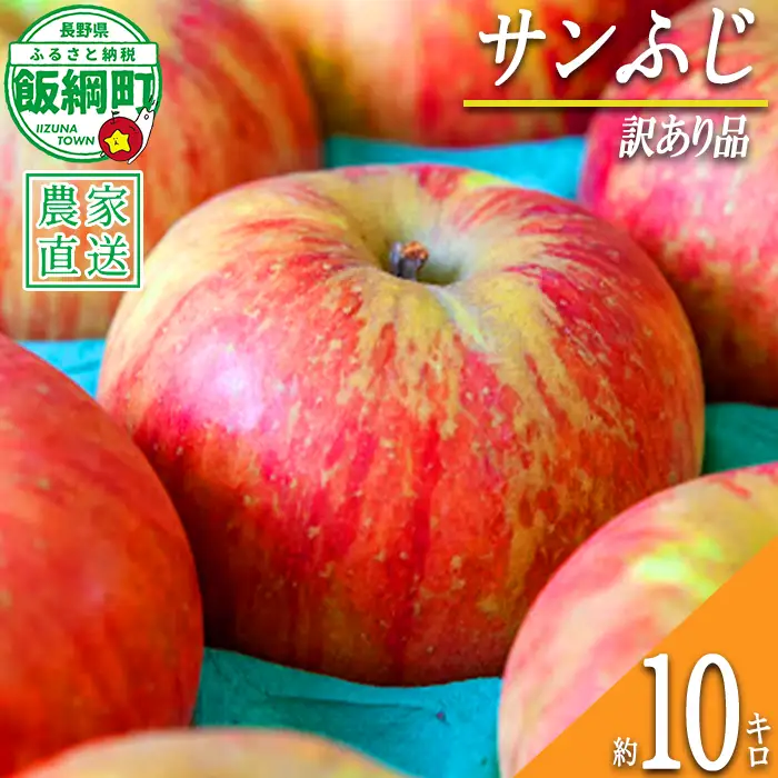 りんご サンふじ 訳あり 10kg 永正の地蔵尊神谷農園 2026年12月中旬頃から2027年3月上旬頃まで順次発送予定 令和8年度収穫分 傷 不揃い リンゴ 林檎 果物 フルーツ 信州 長野 予約 農家直送 長野県 飯綱町 [0209]