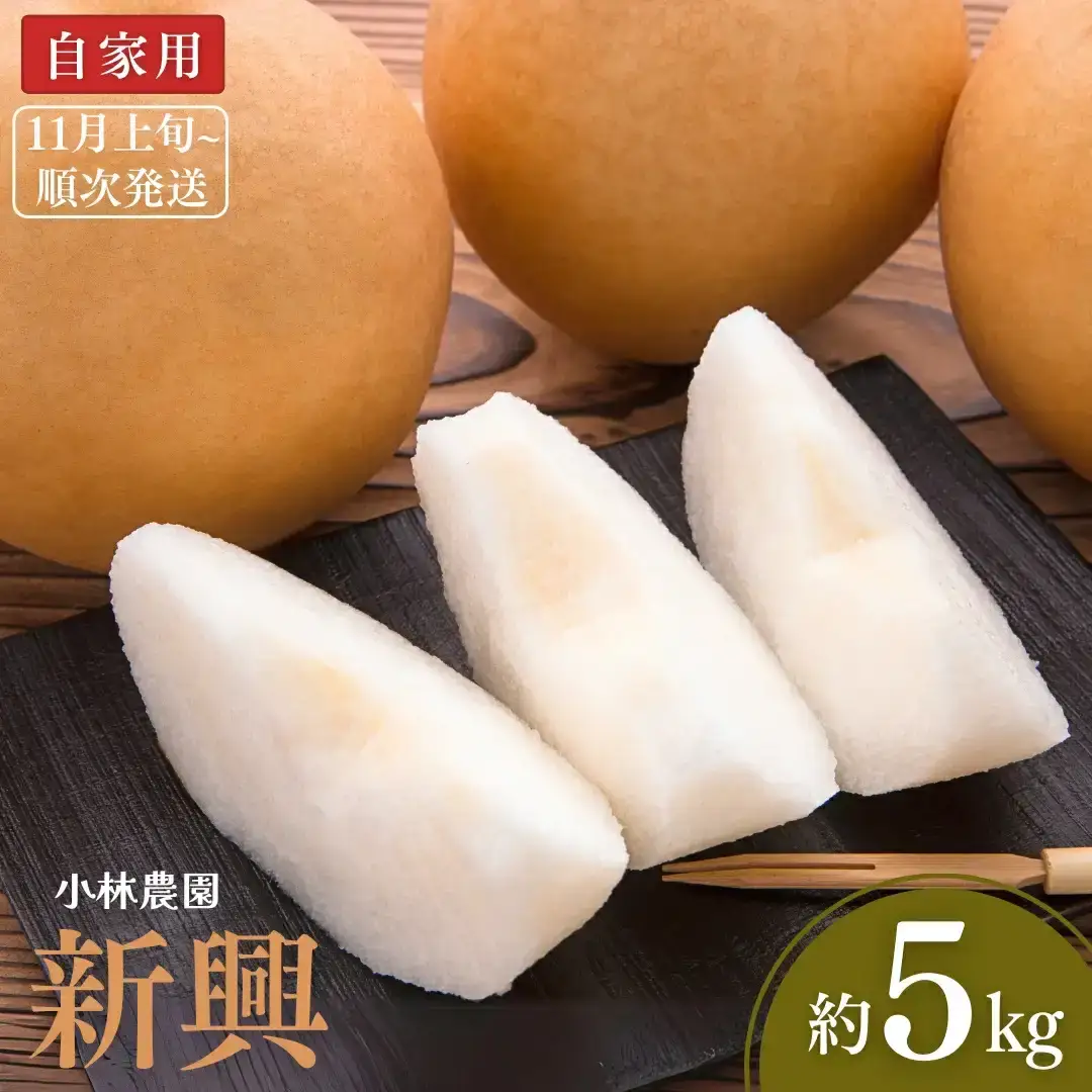 先行予約 和梨 新興 自家用 約5kg [11月上旬から発送予定] 令和8年度