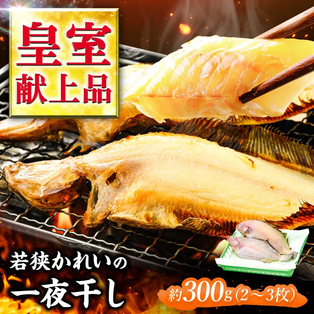 国産 若狭かれいの一夜干し 300g ヤナギムシカレイ [B-007037] [BFAE022] 【配送不可地域：北海道・沖縄・離島】 