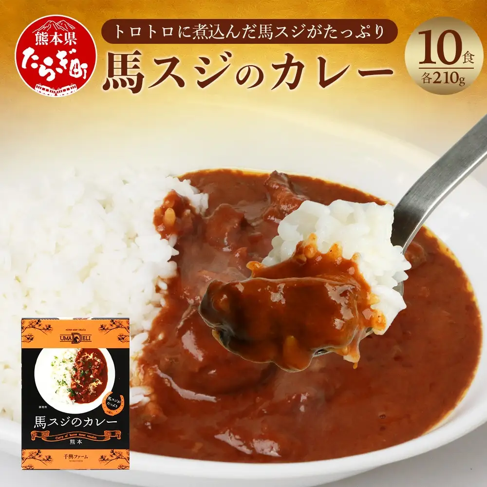 馬スジのカレー 10食 セット 合計2.1kg 【カレー レトルト レトルトカレー 馬すじ 馬スジ 馬 すじ スジ 時短 人気 熊本県 多良木町】 031-0423
