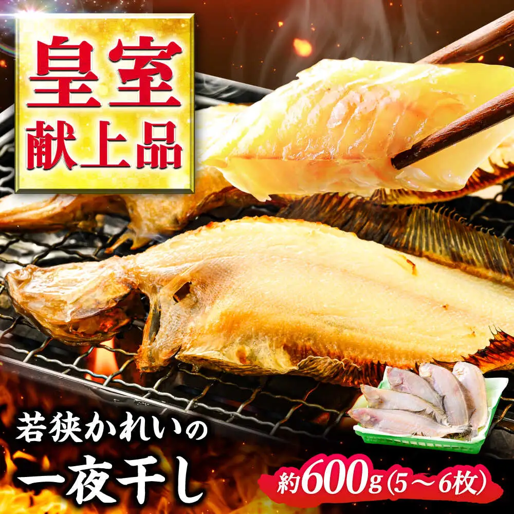 国産 若狭かれいの一夜干し 600g ヤナギムシカレイ [D-007006] [BFAE023] 【配送不可地域：北海道・沖縄・離島】 