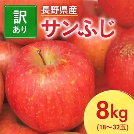 先行受付】長野県産 サンふじ りんご 家庭用 訳あり 8kg(18～32玉