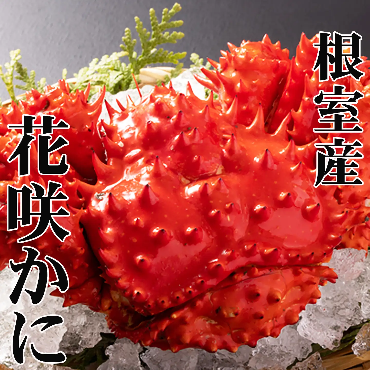 【北海道根室産】花咲かに300g前後～450g前後×4尾 A-30053