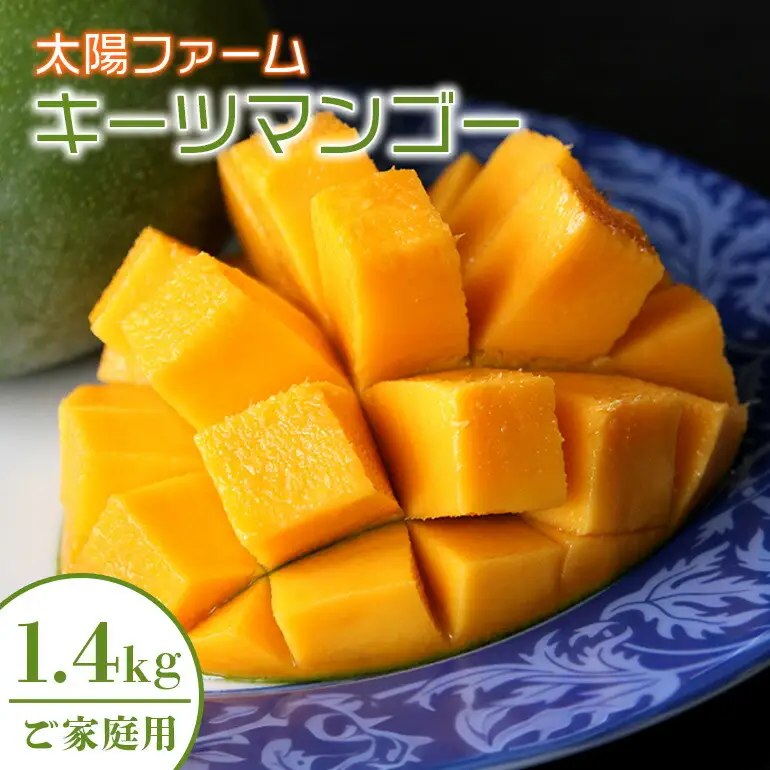 【 先行予約 2026年 発送 】 農家直送 ! 太陽ファームの キーツマンゴー 1.4kg (ご家庭用) 沖縄県産 マンゴー 国産 果物 南国 くだもの フルーツ 夏 旬 特産品 沖縄 お取り寄せ 名産品 お土産 甘い 濃厚 家庭用 緑色 幻のマンゴー 沖縄県 糸満市 120-3