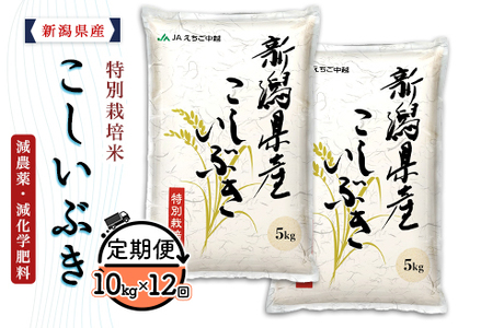 75-7K10ZB【12ヶ月連続お届け】新潟県長岡産特別栽培米こしいぶき10kg（5kg×2袋）【2026年8月発送開始】