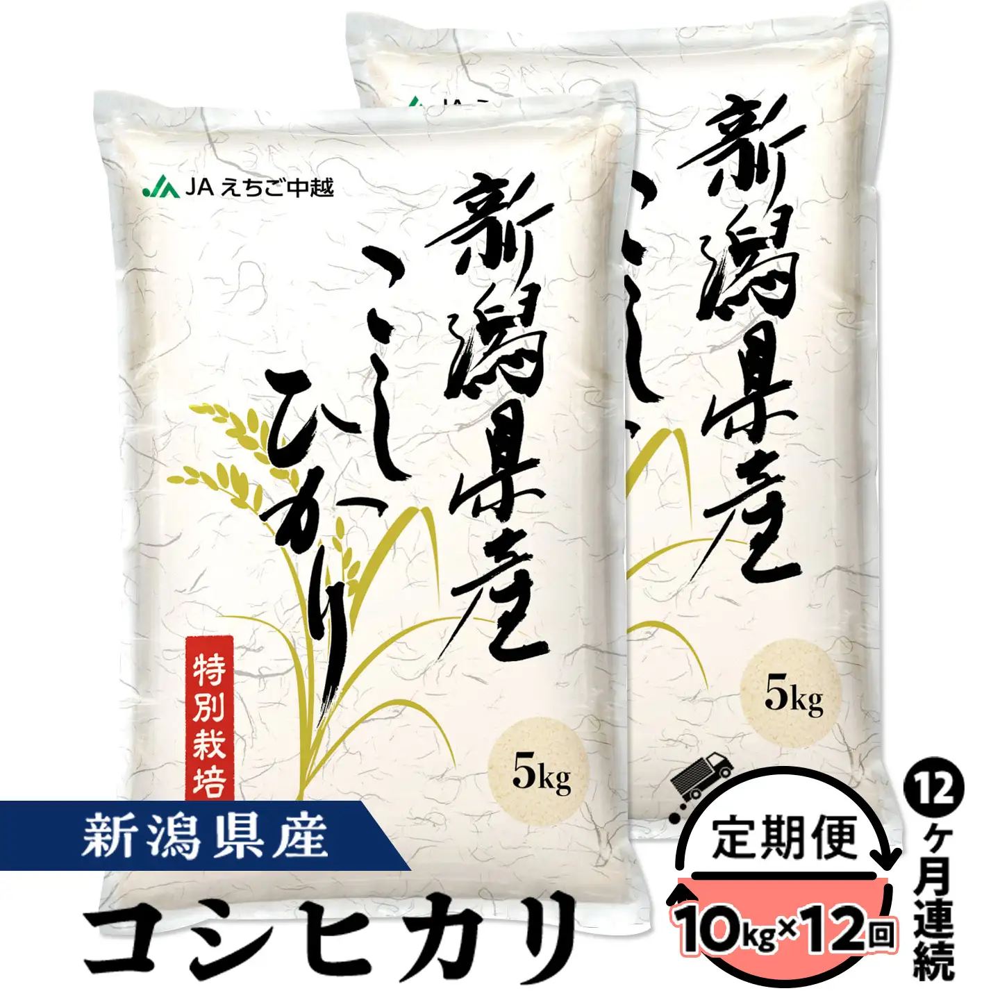 75-7N10ZC【12ヶ月連続お届け】新潟県長岡産コシヒカリ10kg（特別栽培米）【2026年8月発送開始】