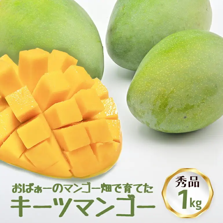【先行予約 2026年 発送】おばぁーのマンゴー畑で育てた マンゴー 秀品 沖縄県産 マンゴー 1kg キーツマンゴー 国産 果物 南国 くだもの フルーツ 夏 旬 特産品 沖縄 お取り寄せ 名産品 お土産 甘い 濃厚 贈答用 緑色 緑 幻のマンゴー 糸満市 17-2