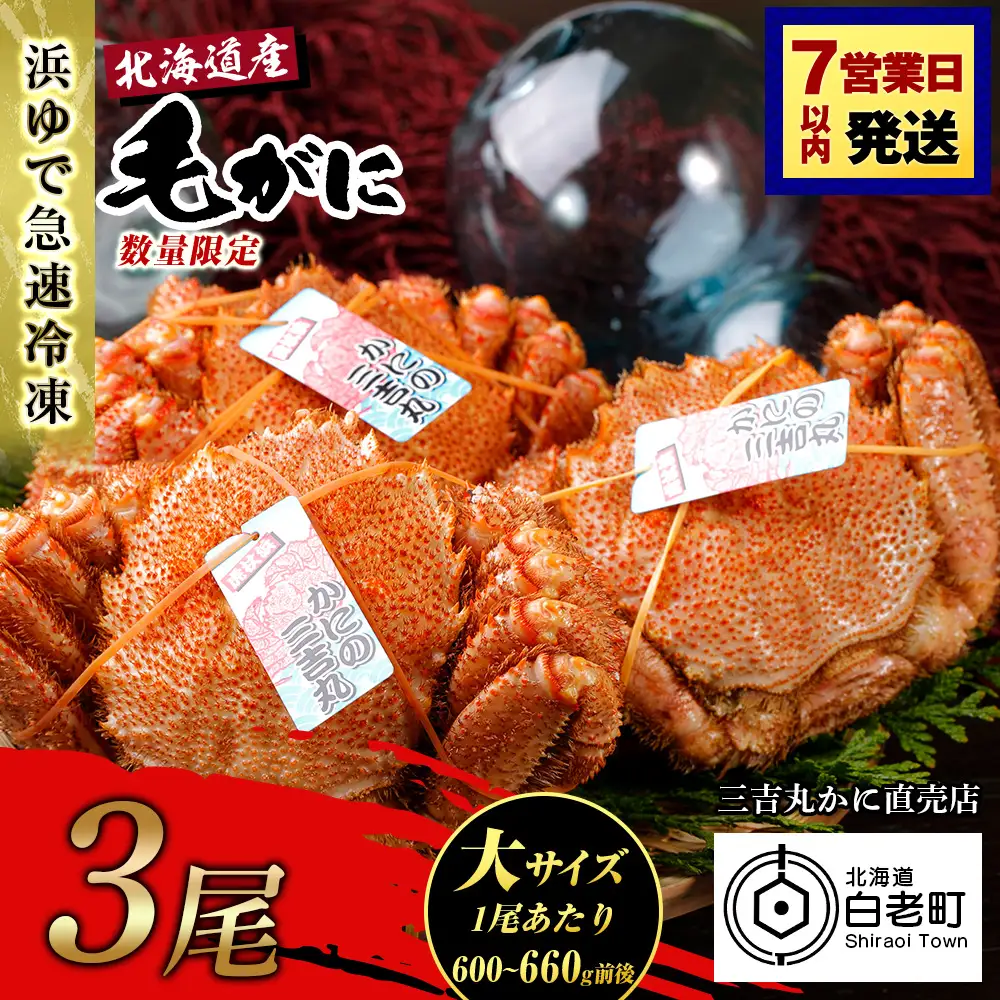 【大サイズ】北海道産 冷凍ボイル毛ガニ (600g-660g前後) 3尾 AS173