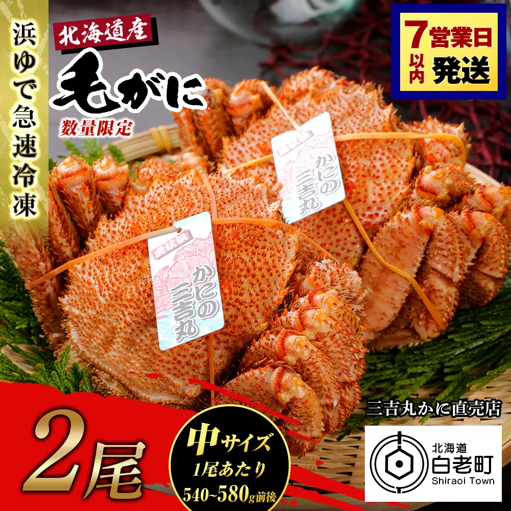 【中サイズ】北海道産 冷凍ボイル毛ガニ (540g-580g前後) 2尾 AS184