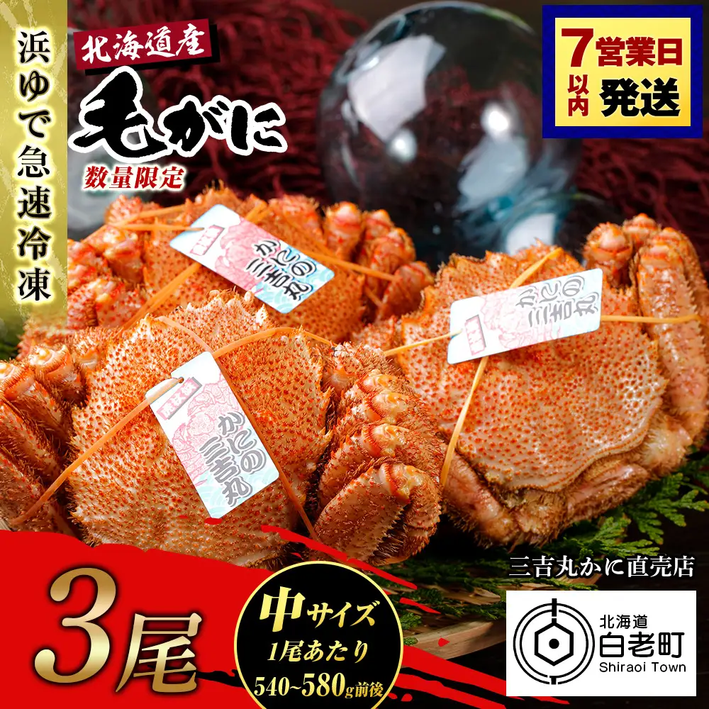【中サイズ】北海道産 冷凍ボイル毛ガニ (540g-580g前後) 3尾 AS185