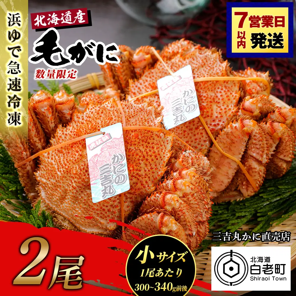 【小サイズ】北海道産 冷凍ボイル毛ガニ (300g-340g前後) 2尾 AS088
