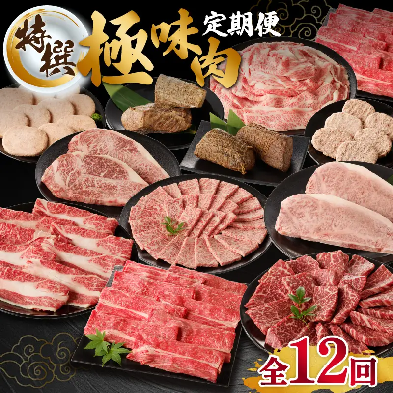 【特撰】佐賀牛 定期便（12回）／ 牛肉 定期便 【Z007】