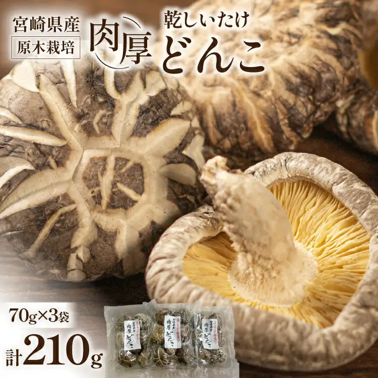 宮崎県産 原木栽培 乾しいたけ 肉厚 どんこ 70g 3袋 計210g