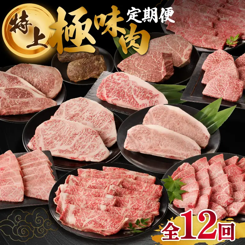 【特上】佐賀牛 定期便（12回）／ 牛肉 定期便 【Z008】