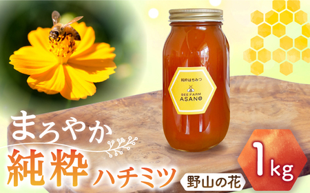 純粋ハチミツ 野山の花 1,000g×1 瑞浪市 / honey shop Bee farm asano 蜂蜜 はちみつ [AZBT006]