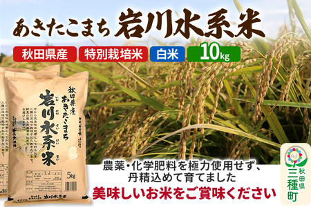 【白米】あきたこまち 岩川水系米 10kg(5kg×2袋) 令和7年産  