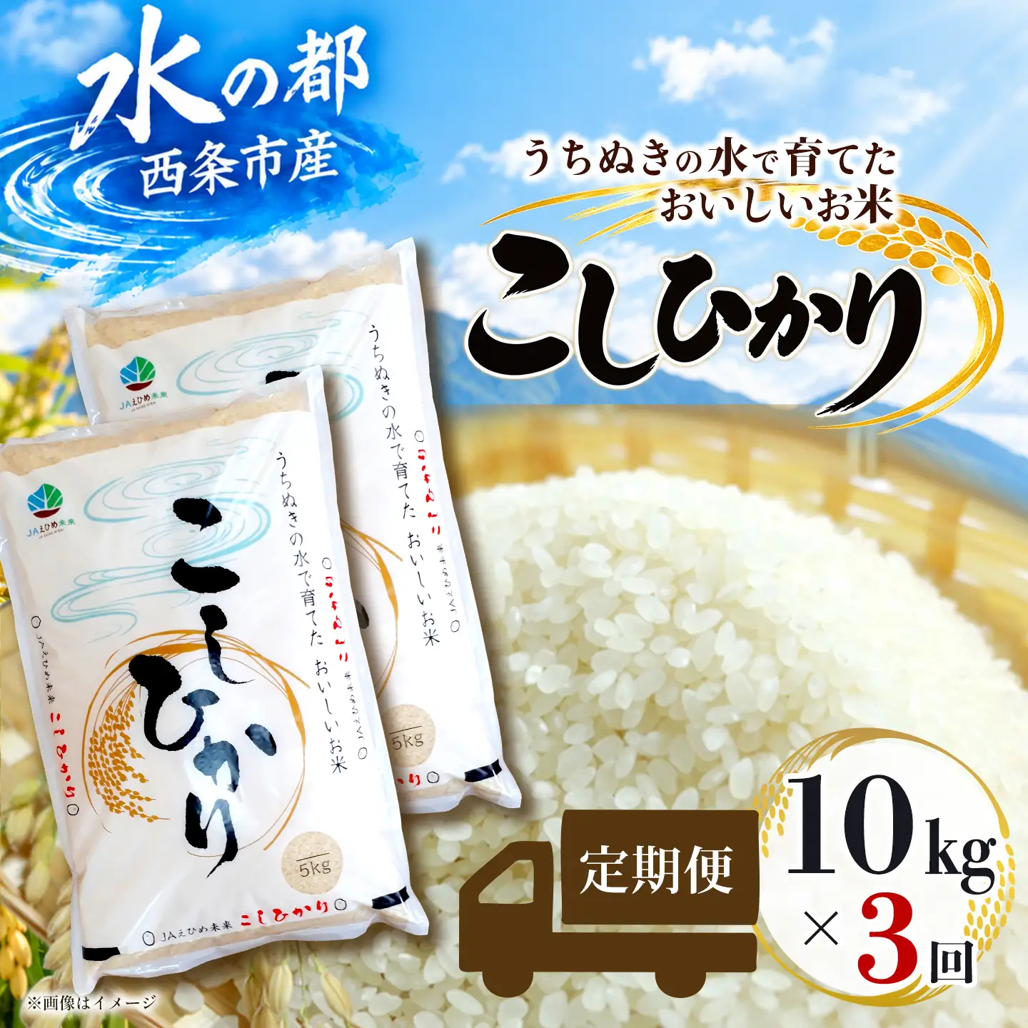 【新米】 【定期便3ヶ月】 令和8年産 コシヒカリ 10kg×3回 新米