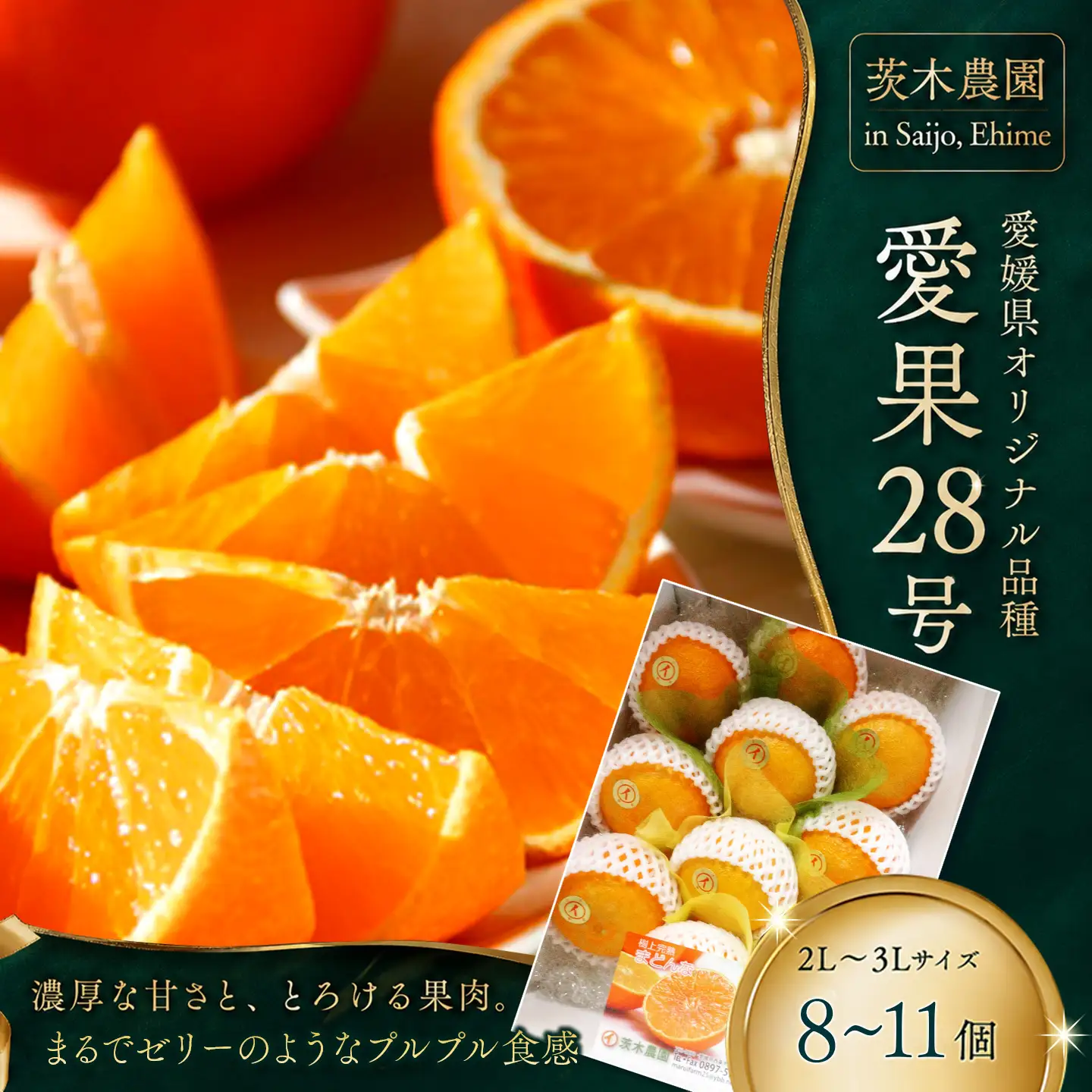 【紅まどんなと同品種】茨木農園の愛果28号_大箱（8～11個）｜まどんな