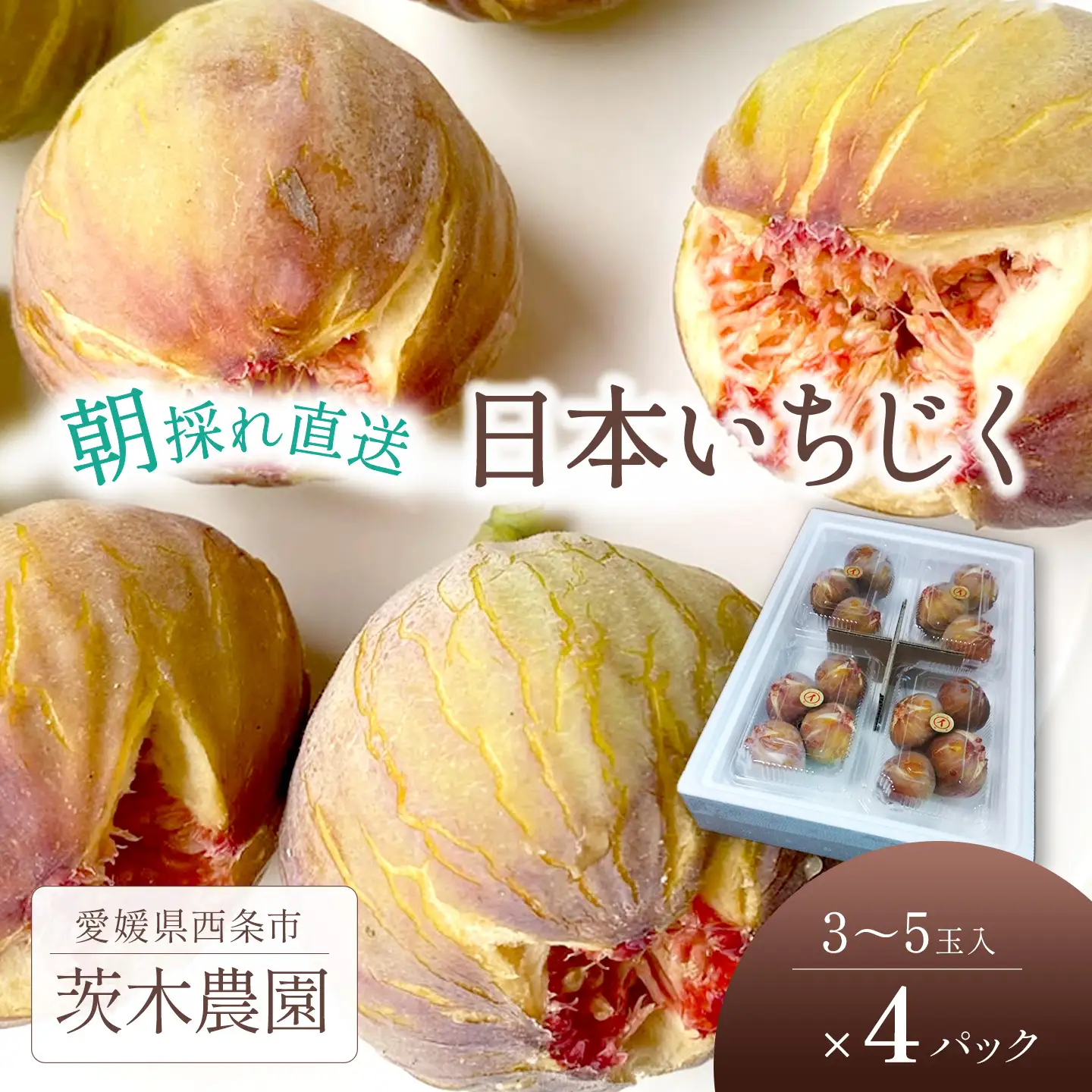 日本いちじく 4パック (7月下旬～10月発送) いちじく 茨木農園