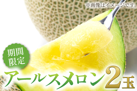 A-540 秋に食べたい！アールスメロン 2玉入り