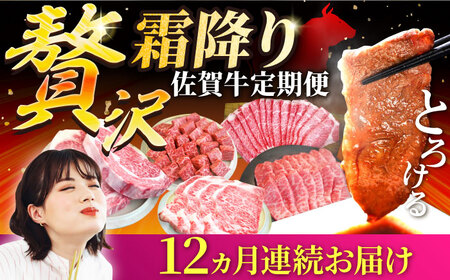 【12回定期便】佐賀牛 贅沢 霜降り 定期便 / 牛肉 [IAH088]