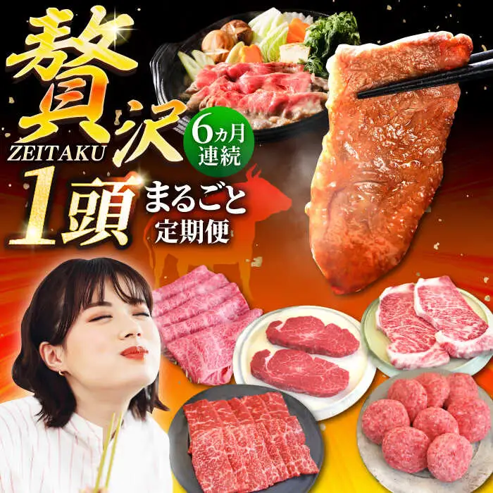 【6回定期便】佐賀牛 贅沢 1頭まるごと定期便/ シルバーコース 牛肉 [IAH089]