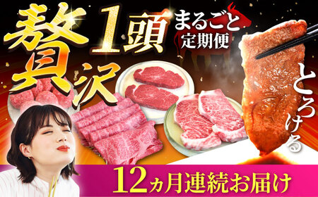 【12回定期便】佐賀牛 贅沢 1頭まるごと定期便 /ゴールドコース 牛肉 [IAH090]
