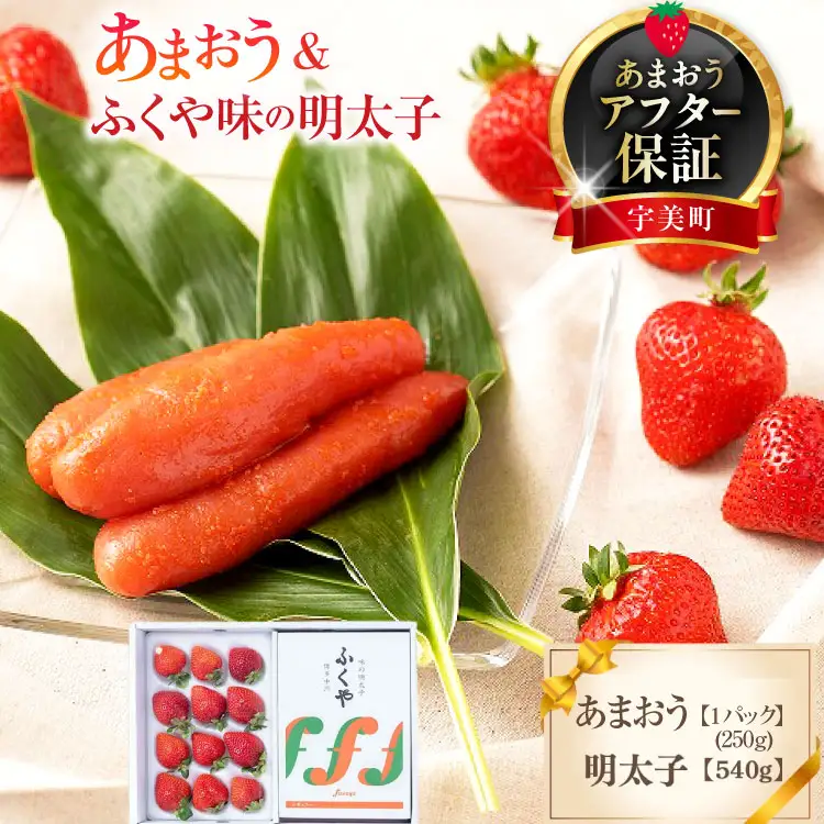 いちご 明太子 セット 福岡産あまおう 1p 250g ふくや 540g いちご