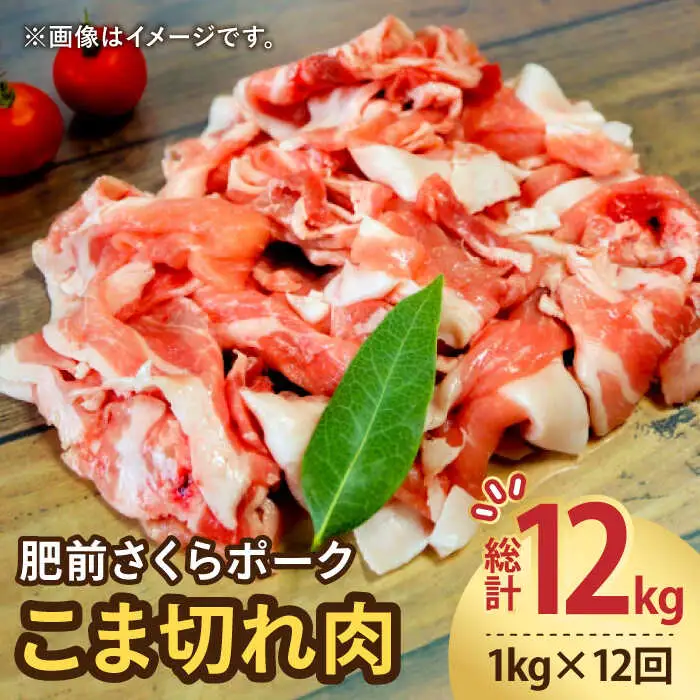 【12回定期便】＜毎日のお料理に便利に使える♪＞肥前さくらポーク こま切れ 1kg (500g × 2パック) 佐賀県産 国産豚肉 小間 小分け 吉野ヶ里町/アスタラビスタ[FAM031]