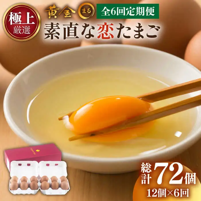 【 卵　定期便6回 】極上恋たまご 卵12個 [JAA005]