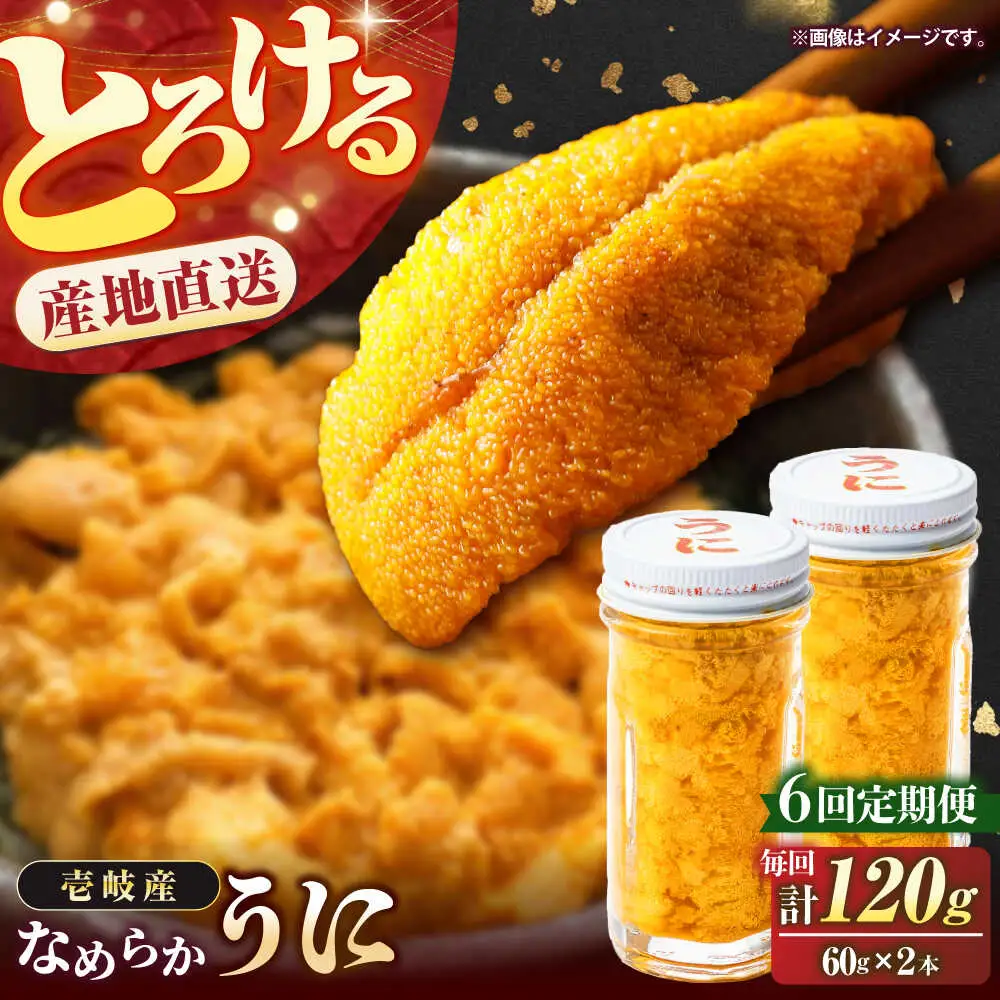 【全6回定期便】壱岐産 生うに 120g（60g×2本） [JEH006]