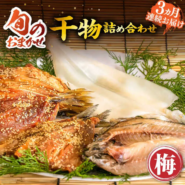 【全3回定期便】 旬の干物 おまかせ詰め合わせ《梅》（アジ・イワシ・イカなど）[JDR009]