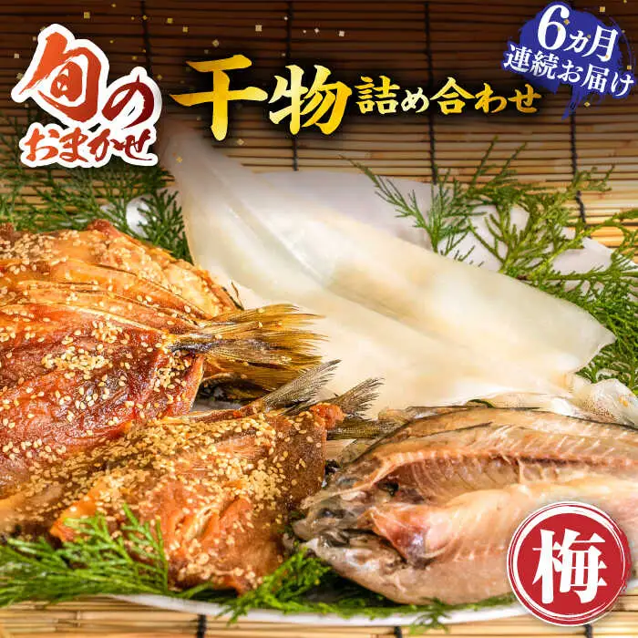 【全6回定期便】 旬の干物 おまかせ詰め合わせ《梅》（アジ・イワシ・イカなど）[JDR010]