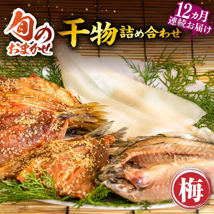 【全12回定期便】 旬の干物 おまかせ詰め合わせ《梅》（アジ・イワシ・イカなど）[JDR011]