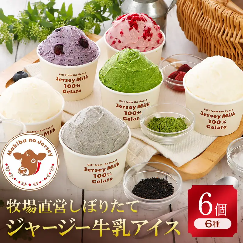 【ジャージー牛乳使用】まきばのジャージーアイス人気スタンダードセット6個入り F21C-033