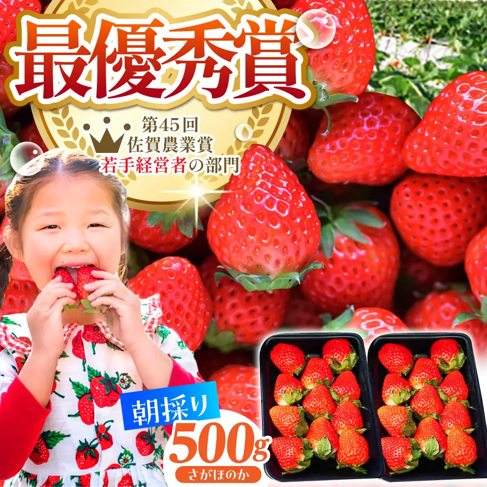 【先行予約】【2?4月発送】さがほのか250g×2 HAF022 いちご 果物 フルーツ いちご